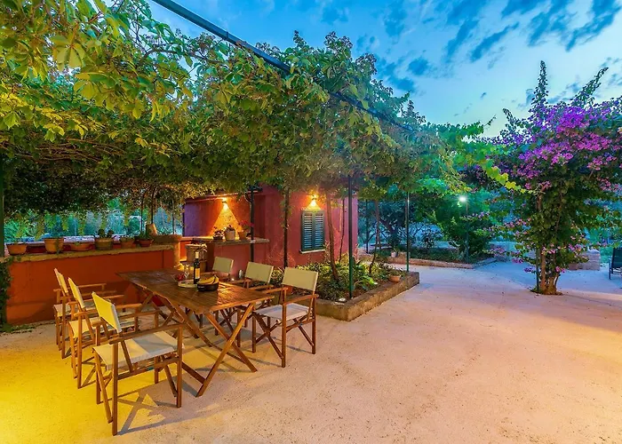 House Bougainvillea