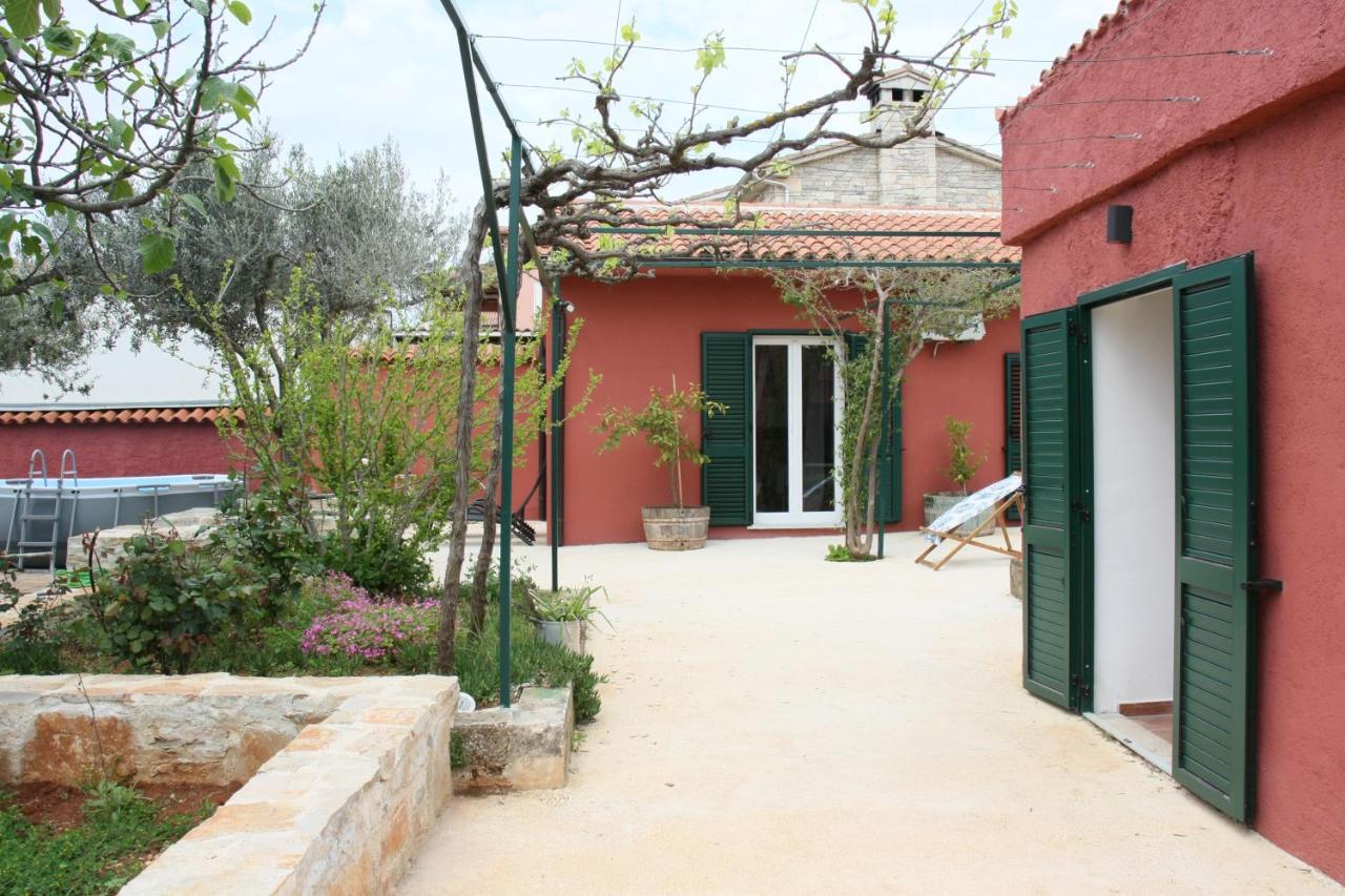 House Bougainvillea