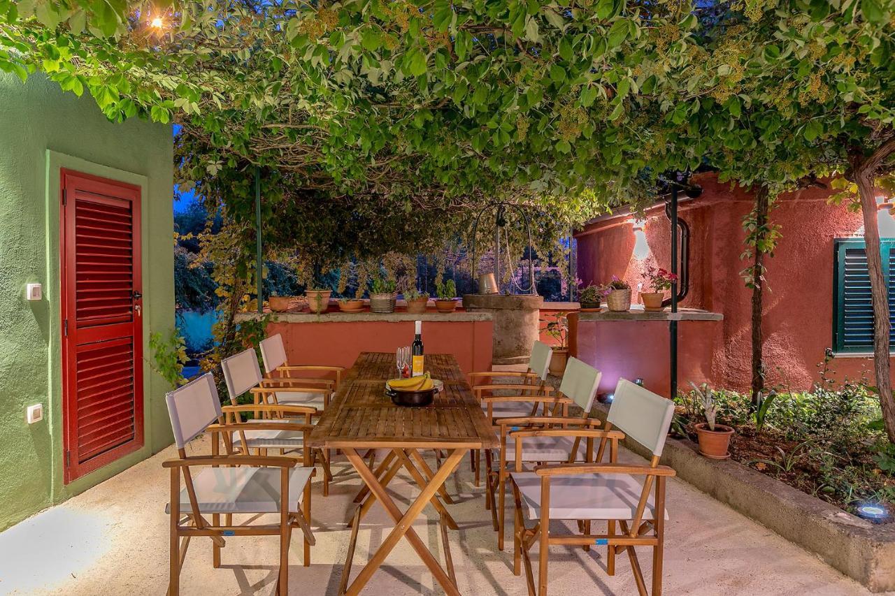 House Bougainvillea