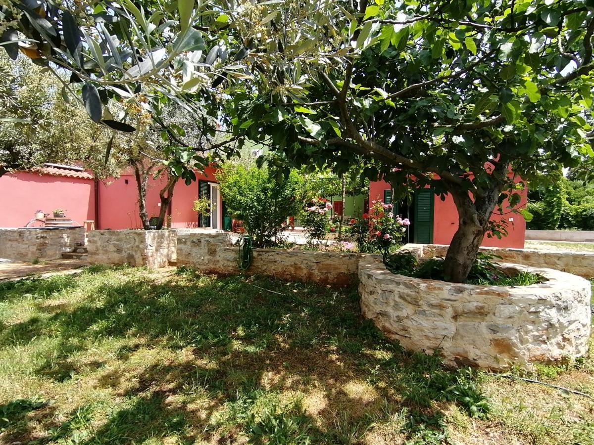 House Bougainvillea Casa vacanze